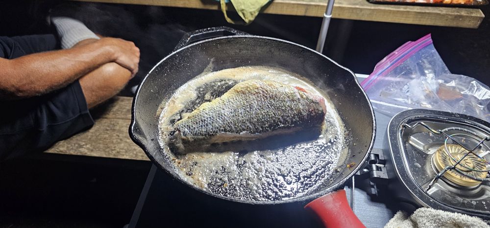 A whole bass fillet frying in a cast iron pan on a camp stove at night.
